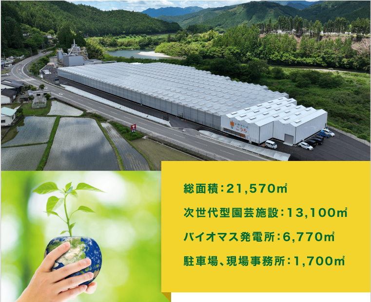 総面積  ：21,570㎡ 次世代型園芸施設：13,100㎡ バイオマス発電所：6,770㎡ 駐車場、現場事務所：1,700㎡