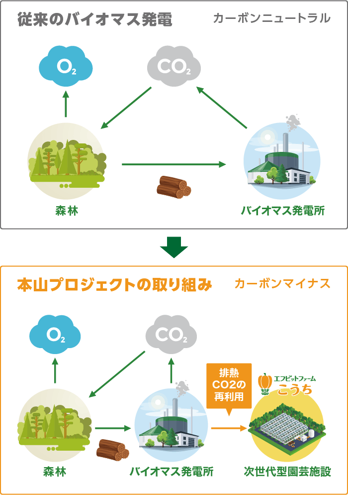 総面積  ：21,570㎡ 次世代型園芸施設：13,100㎡ バイオマス発電所：6,770㎡ 駐車場、現場事務所：1,700㎡